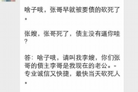 合肥合肥的要账公司在催收过程中的策略和技巧有哪些？